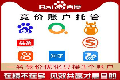 成功案例解析：SEO与SEM协同营销策略